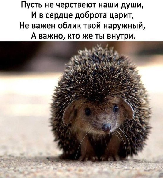    - 2  2018  09:16