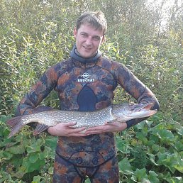 ���������, ������, 40 ���