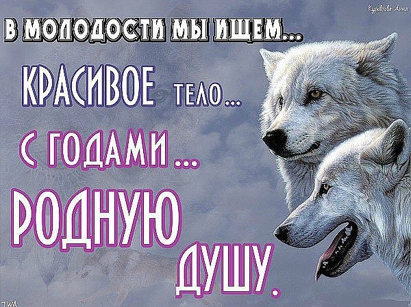 Настоящий друг — это человек, который выскажет тебе в глаза все, что о тебе думает, а всем скажет, ... - 2