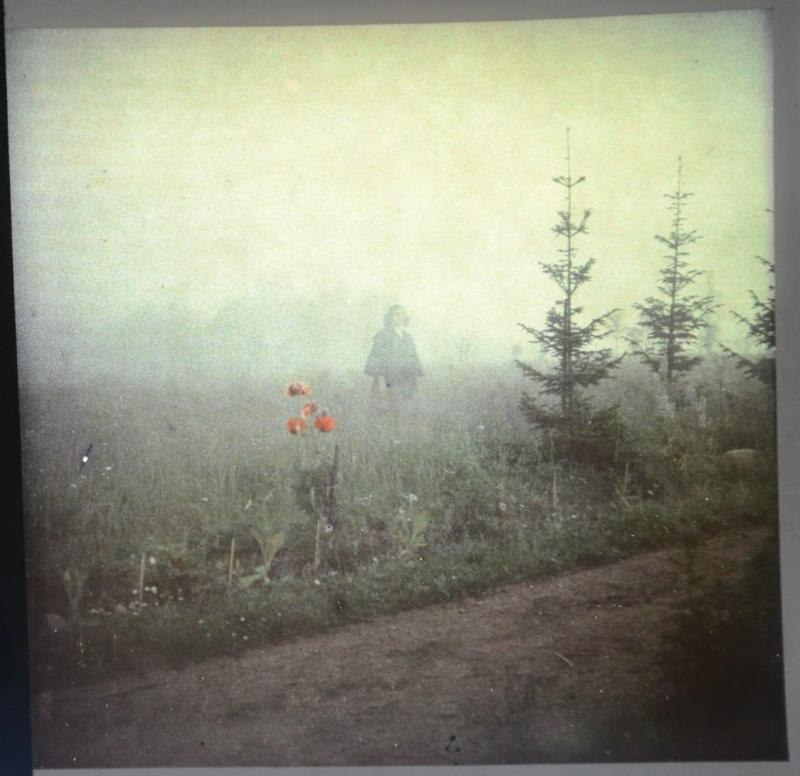     , 1900-1910- . #@book - 3