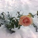 ���� �����, ������, 64 ���� - ��������� 9 ���� 2018 � ������ ���������� ������