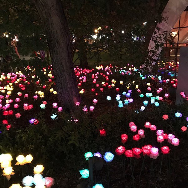 � ����� ���� ���� ����� ������� ����.