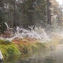 ���� Aavo, �������, 62 ���� - ��������� 29 ������� 2017 � ������ �Burjaatia 2012 - 2017�