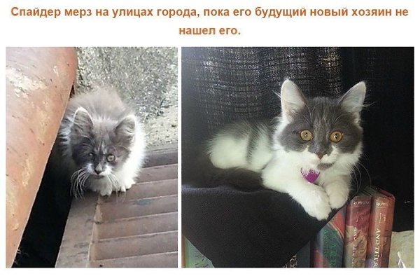 Если вам нечего почитать, то вот вам 10 книг, прочитав которые Вы больше не будете прежними. - 6