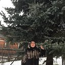 ���� ����, ������ �������� - ��������� 4 ������ 2018 � ������ ���� ����������