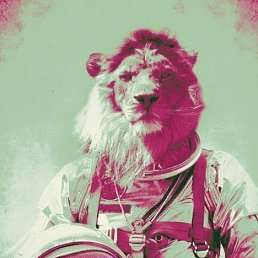 �������, ������, 33 ����