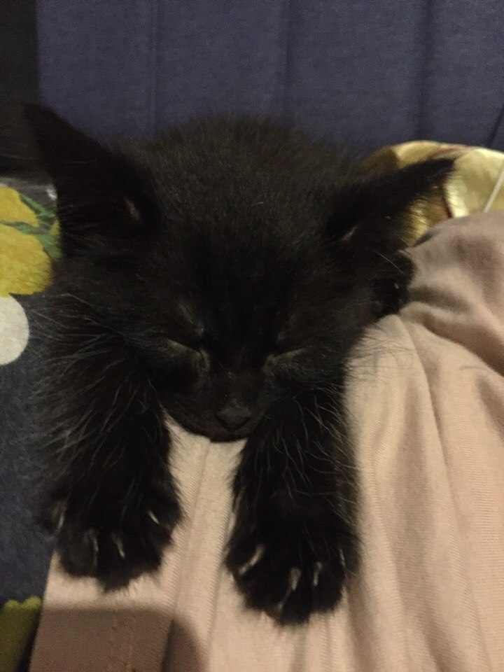 #_.          ..    ... - 4