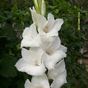 ���� �����, ������ - ��������� 13 ���� 2018 � ������ ���� ���������