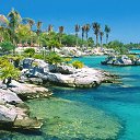 ���� �������, ������������ - ��������� 31 ����� 2018 � ������ ���� ����������