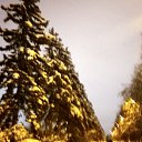 ���� ���������, ������ - ��������� 23 ������� 2018 � ������ ���� ����������