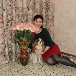 ���� Le, ������, 56 ��� - ��������� 25 ������� 2018