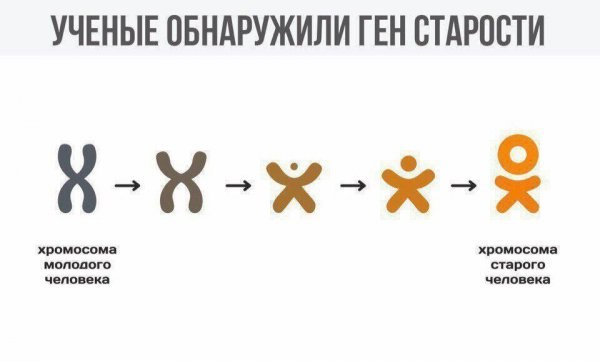 Nightjar - 22  2018  09:27 - 7