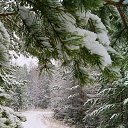 ���� �����, �����-��������� - ��������� 9 ������ 2018 � ������ ���� ����������