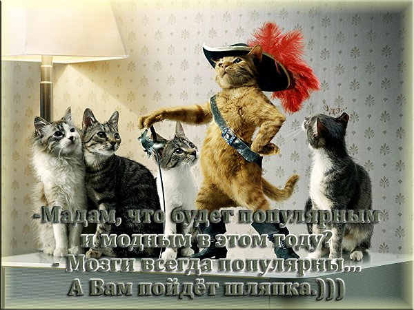 ����� �����... - 14 ���� 2018 � 20:17