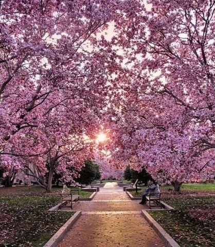    Haupt Garden  .