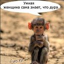 ���� ���������, ������, 61 ��� - ��������� 16 ������ 2018 � ������ �� ������ � ��������� � �� ������.�