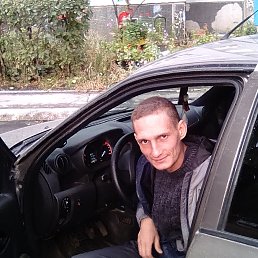 ���������, ������, 41 ���