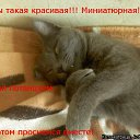 ���� ���������, �����, 43 ���� - ��������� 26 ������ 2018 � ������ ������ ��������