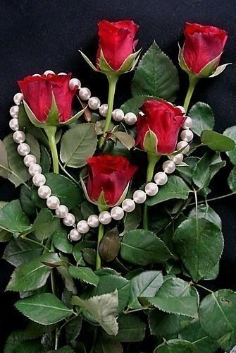 Сердце ищет тепла, сердце сил не жалеет….В бесконечный полёт рвётся наша душа…Сердце ищет любви и в ...