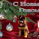 ���� ****����*****, ���������� - ��������� 2 ������ 2018 � ������ ���� ����������