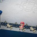 ���� ���, ����, 23 ���� - ��������� 25 ������� 2017 � ������ �Tropikania�