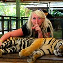 ���� �����, ��������, 40 ��� - ��������� 6 ������� 2018 � ������ ���� ����������