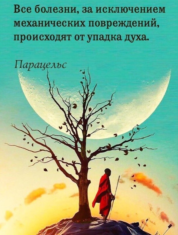  | ,  - 19  2018  02:51