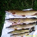 ���� ������, �����-���������, 67 ��� - ��������� 6 ����� 2018 � ������ ���� ����������