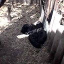 ���� �������, �������, 53 ���� - ��������� 6 ���� 2018 � ������ ���� ����������