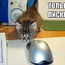 ���� �����, ��������� - ��������� 17 ����� 2018 � ������ ������ ��������