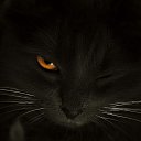 ���� �����, ����������-���������, 57 ��� - ��������� 27 ������ 2018 � ������ ������ ��������