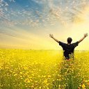 ���� Dreamer, �����-��������� - ��������� 3 ������� 2018 � ������ ���� ����������