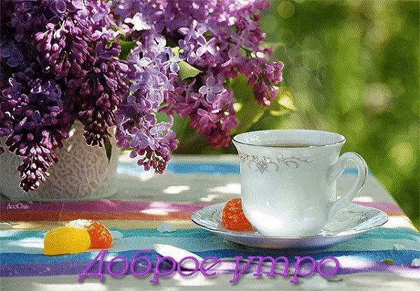 -  ! -.  !     !  ,     ...