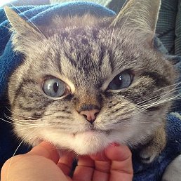 Garru, ��������������, 53 ����