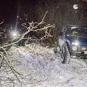 ���� ������, ���������, 55 ��� - ��������� 11 ���� 2018 � ������ ���� ����������