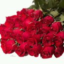 ���� Gunay, ���� - ��������� 15 ������� 2018 � ������ ������ ��������