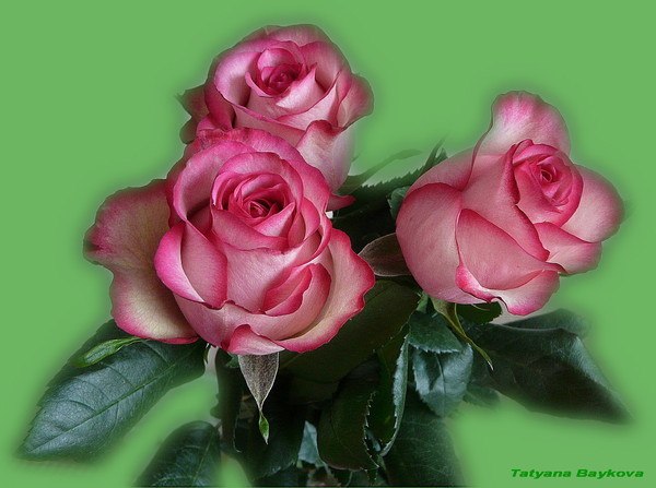 ������ ������� - 30 ����� 2018 � 03:36