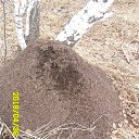 ���� �����, ������������ - ��������� 30 ������ 2018 � ������ ���� ����������