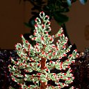 ���� 2017-2018 �� ������� ���� ��������߻