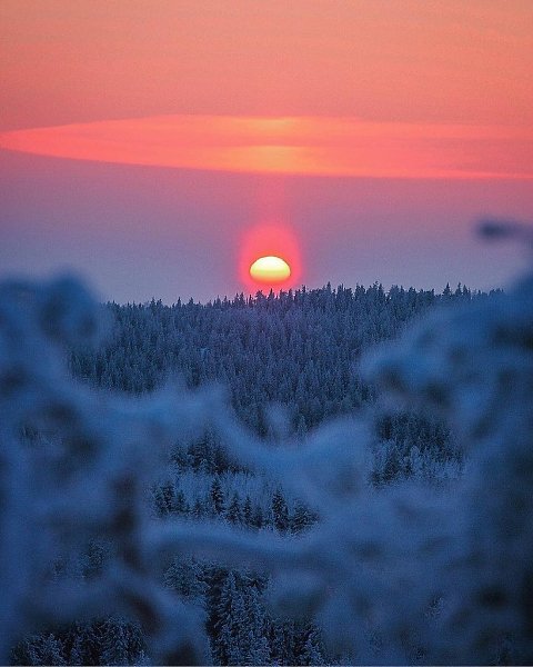Зимняя сказка в Лапландии.А вы любите зиму? Фото: Ville Pkknen - 5
