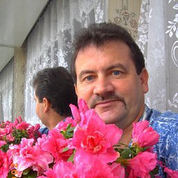 ��������, �����, 63 ����