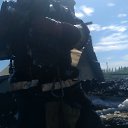 ���� �����, �����-���������, 41 ��� - ��������� 5 ���� 2018 � ������ ���� ����������