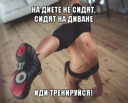 SportFeed - 13  2017  03:41