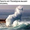 ���� ��������, ����, 72 ���� - ��������� 13 ����� 2018 � ������ ���� ����������