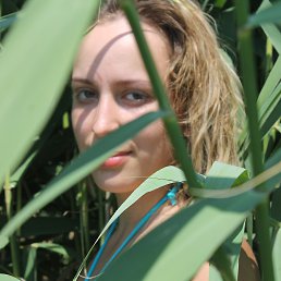 , 37 , 