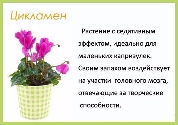 Цветы в детскую комнату - 2