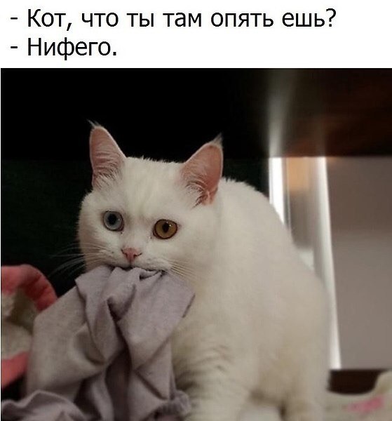   - 7  2018  03:08