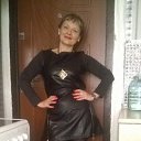 ���� ��������, ����������, 53 ���� - ��������� 23 ������ 2017 � ������ ���� ����������