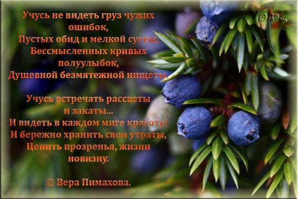  ... - 18  2018  21:41