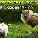 ���� �����, ���������, 64 ���� - ��������� 8 ������� 2018 � ������ ������ ��������